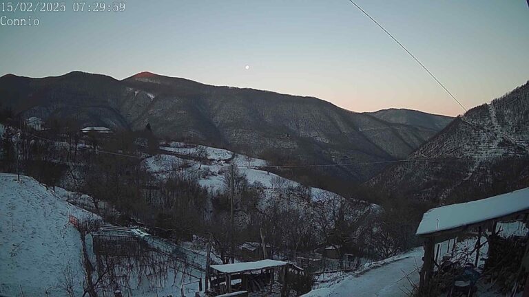 neve_20250215